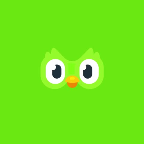 App / Software ad by Duolingo