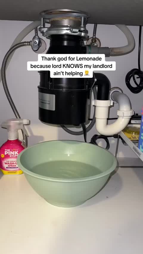 Insurance ad by Lemonade