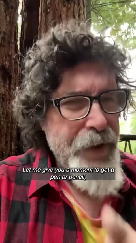 Insurance ad by Lemonade