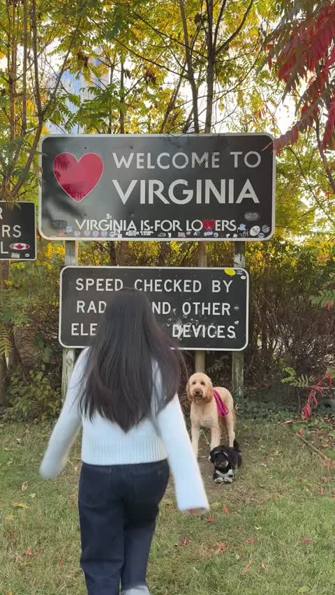 Pets ad by With SunshineSol