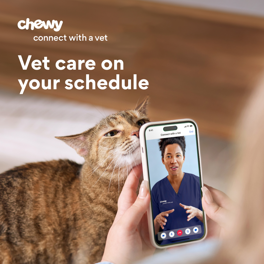 Pets ad by Chewy