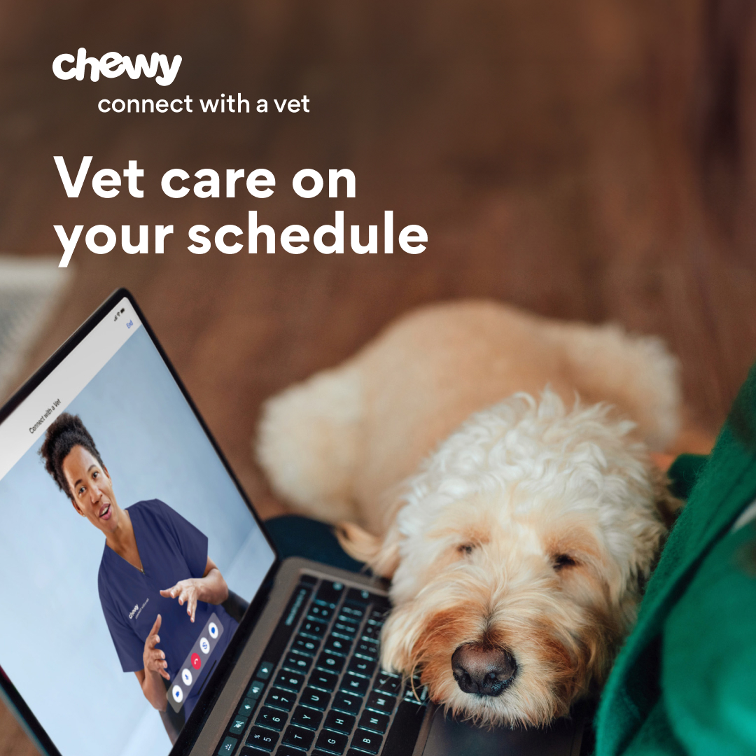 Pets ad by Chewy