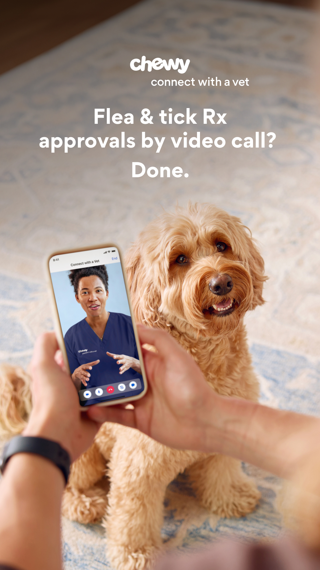 Pets ad by Chewy