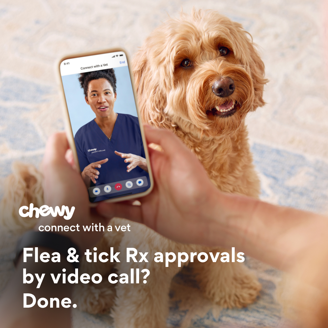 Pets ad by Chewy