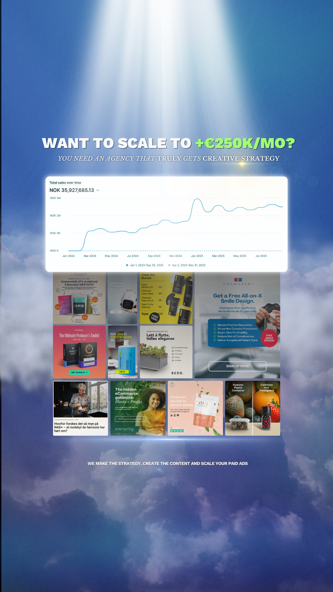 Business / Professional ad by Emil from Profida