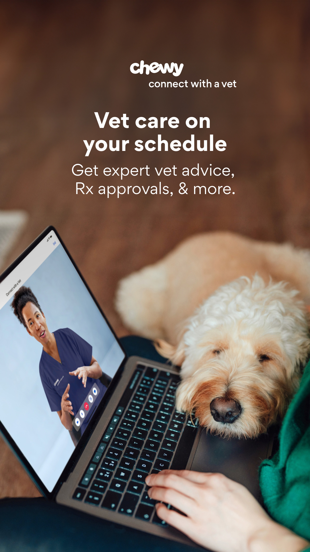 Pets ad by Chewy